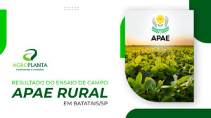 APAE Rural